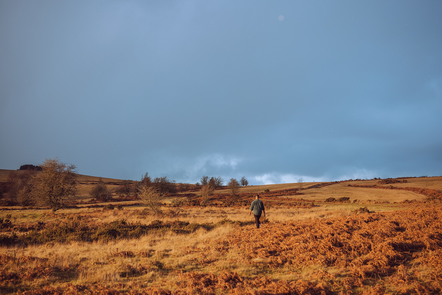 Visual Rhythm, Happify