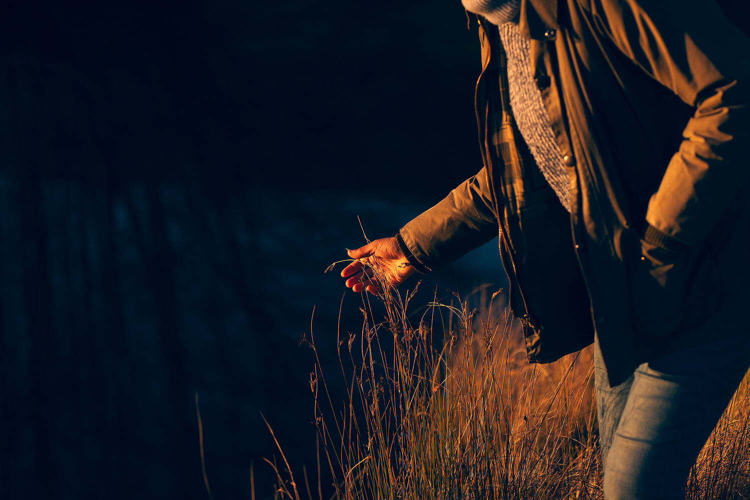 Connections, Happify