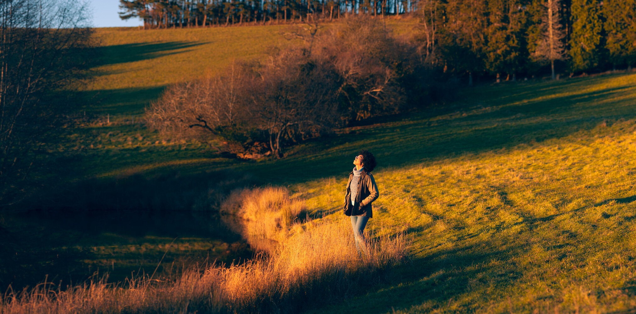 Connections, Happify