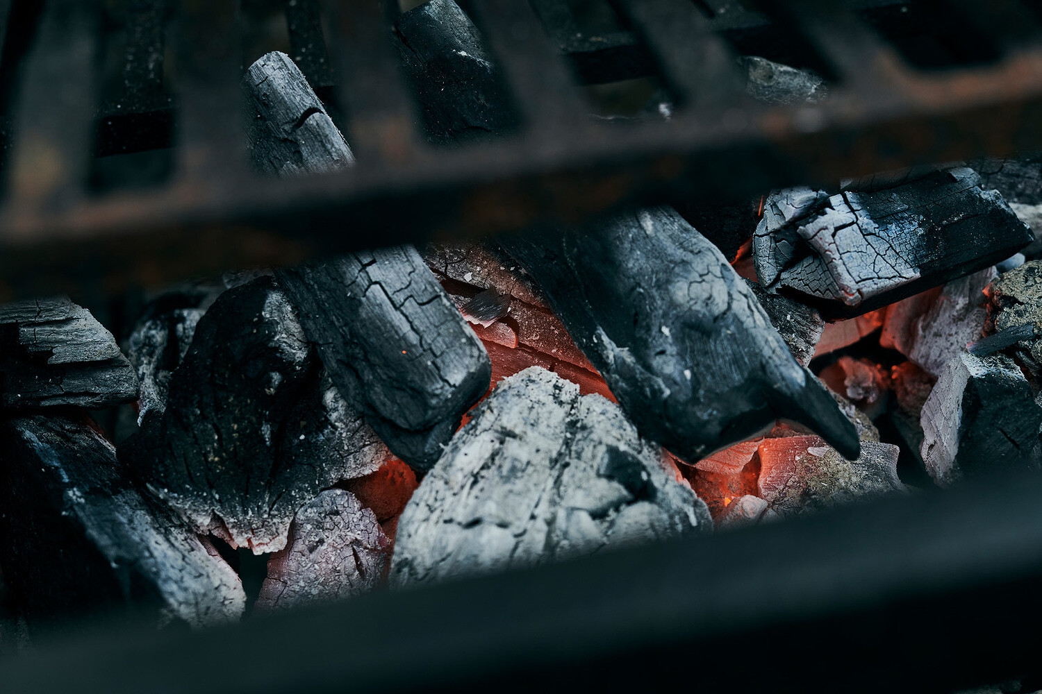 Diana Yen, Bon Appétit