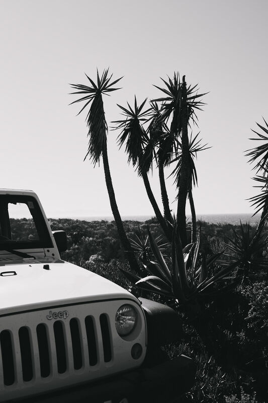 Diana Yen, Bon Appétit