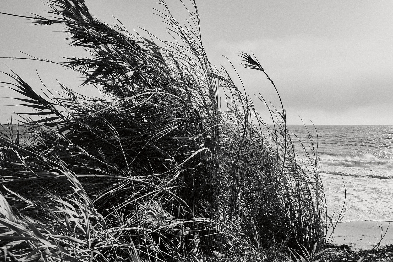 Diana Yen, Bon Appétit