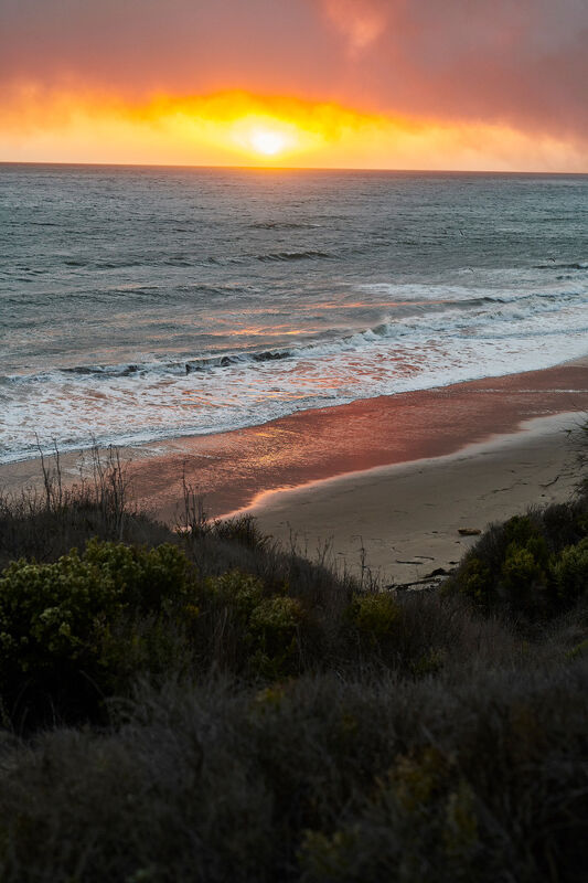 Diana Yen, Bon Appétit