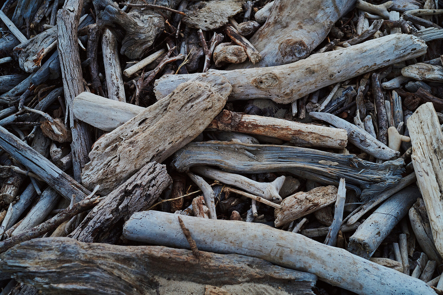 Diana Yen, Bon Appétit