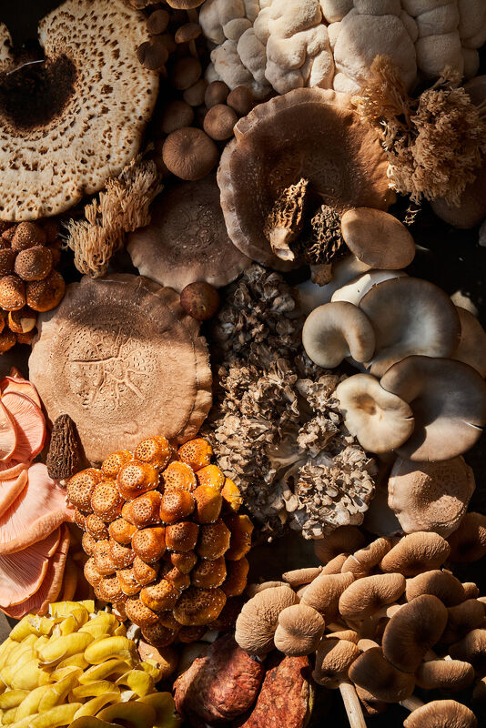 Cooking with Mushrooms