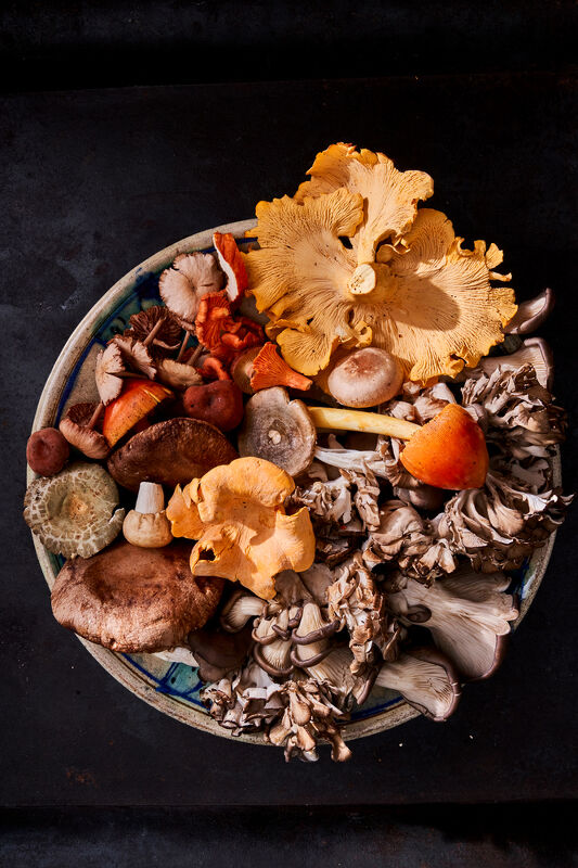 Cooking with Mushrooms