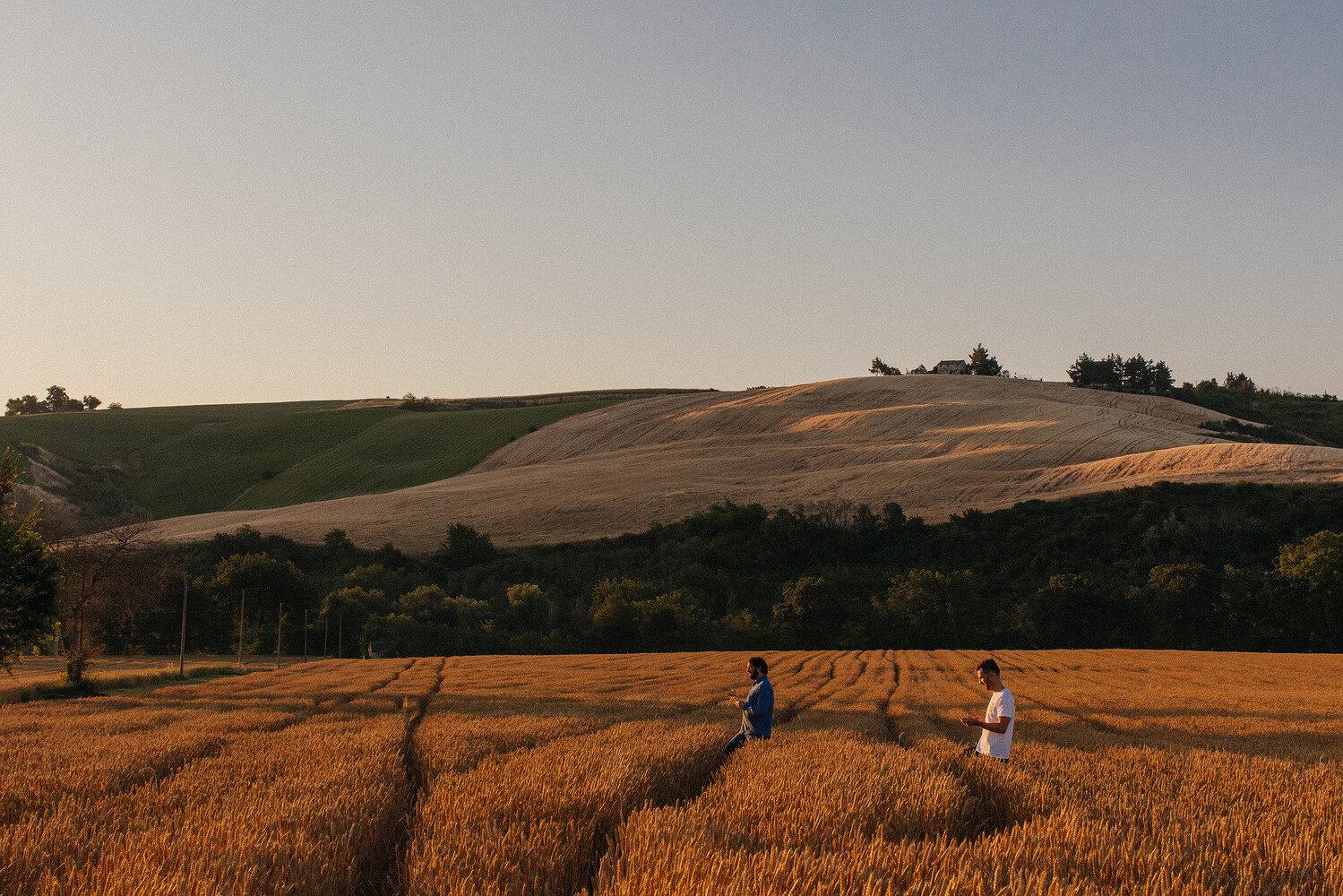 Richard Hart Cookbook
