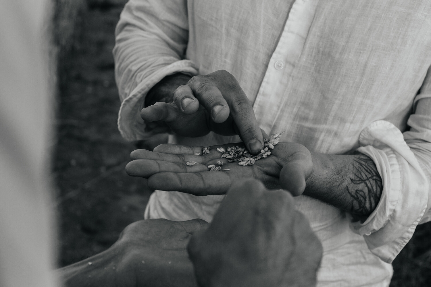 Richard Hart Cookbook