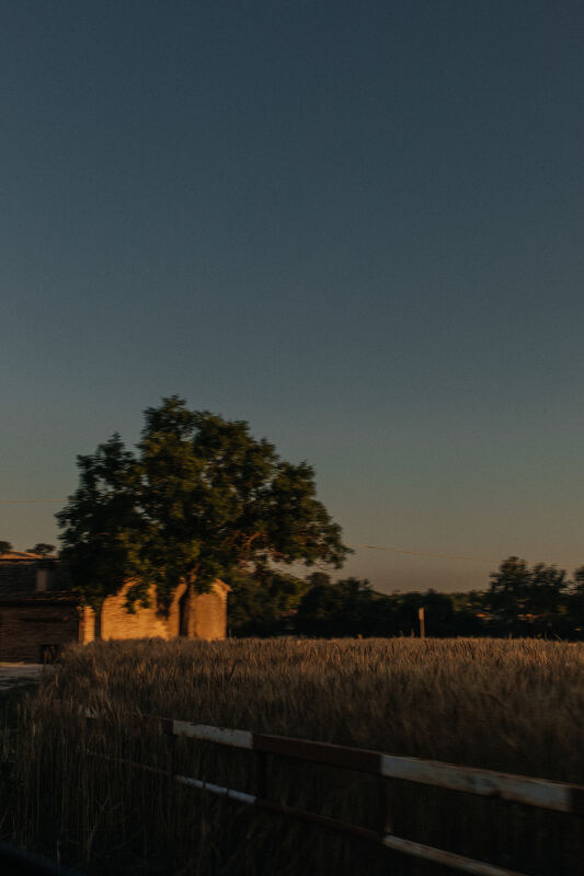 Richard Hart Cookbook