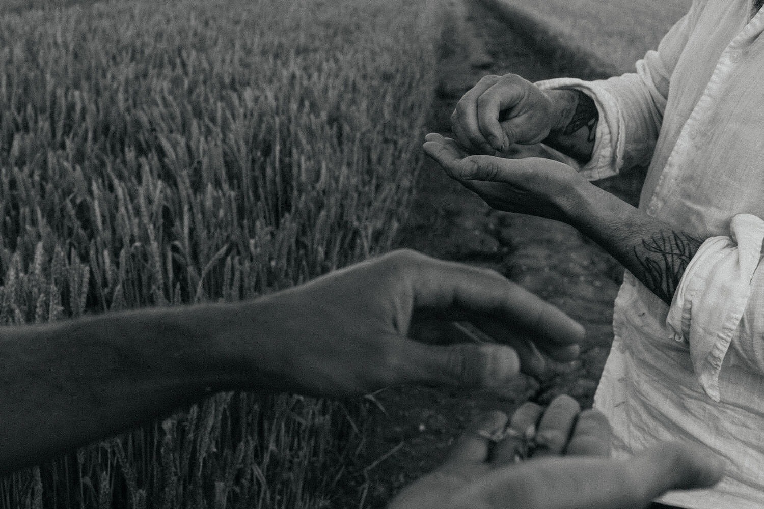 Richard Hart Cookbook