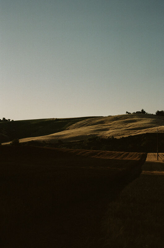 Richard Hart Cookbook