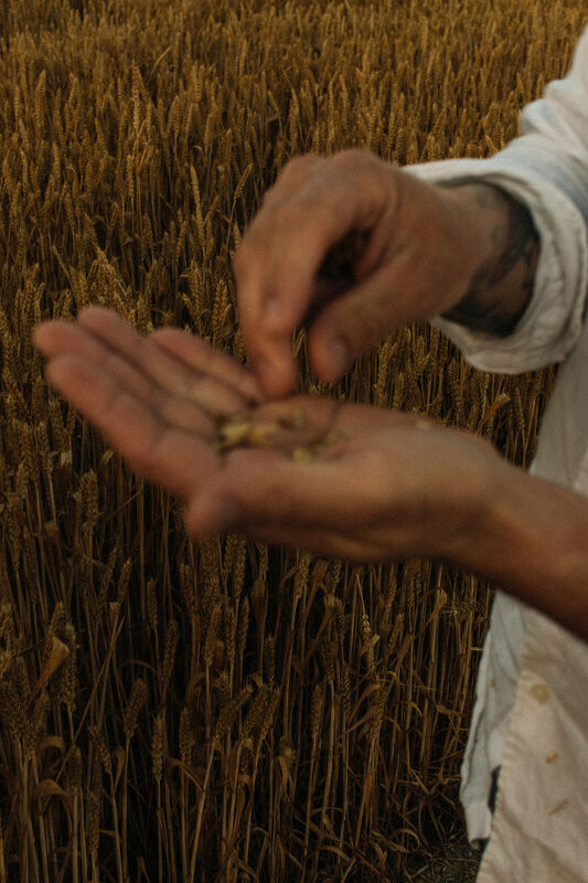 Richard Hart Cookbook