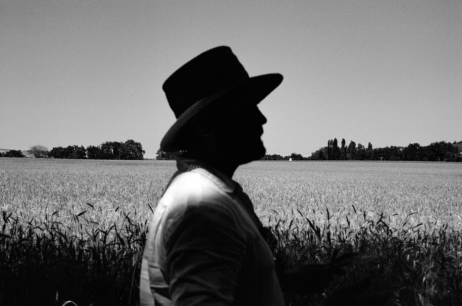 Richard Hart Cookbook