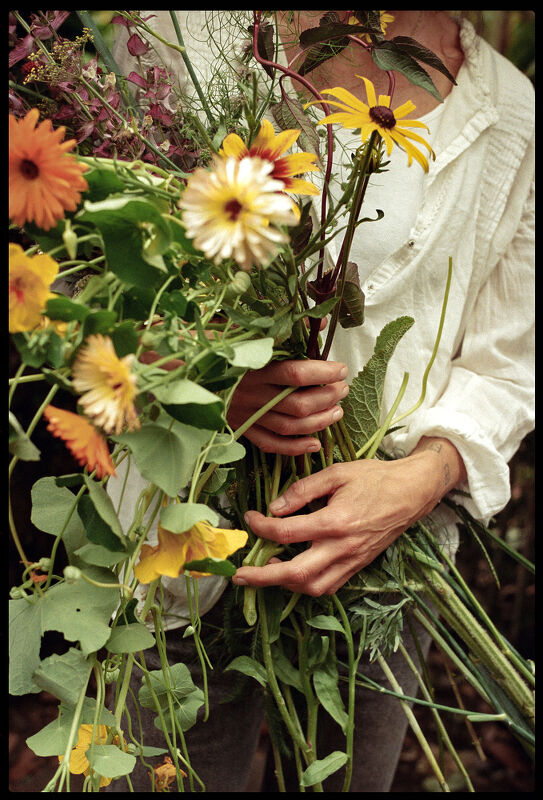 Hennessy Angel’s Envy 