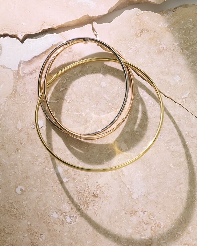 Cartier x Wonderland 