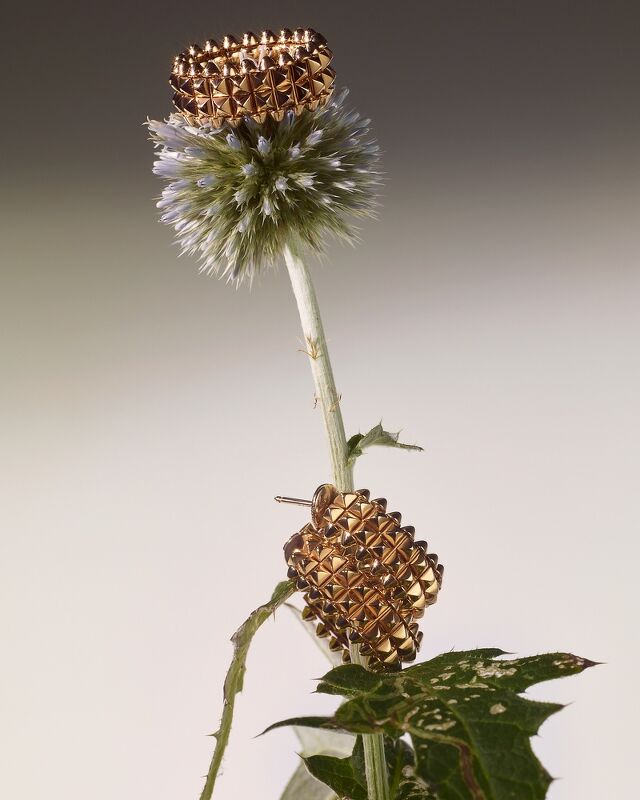 Cartier x Wonderland 