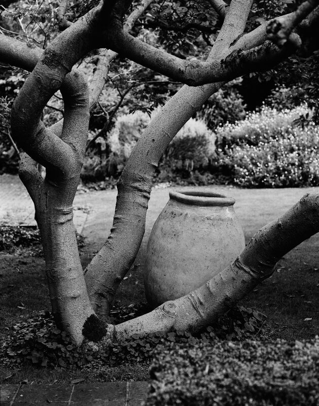 Drawing Room, The Modern House