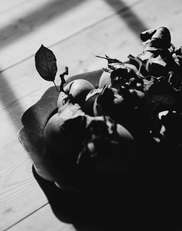 Drawing Room, The Modern House