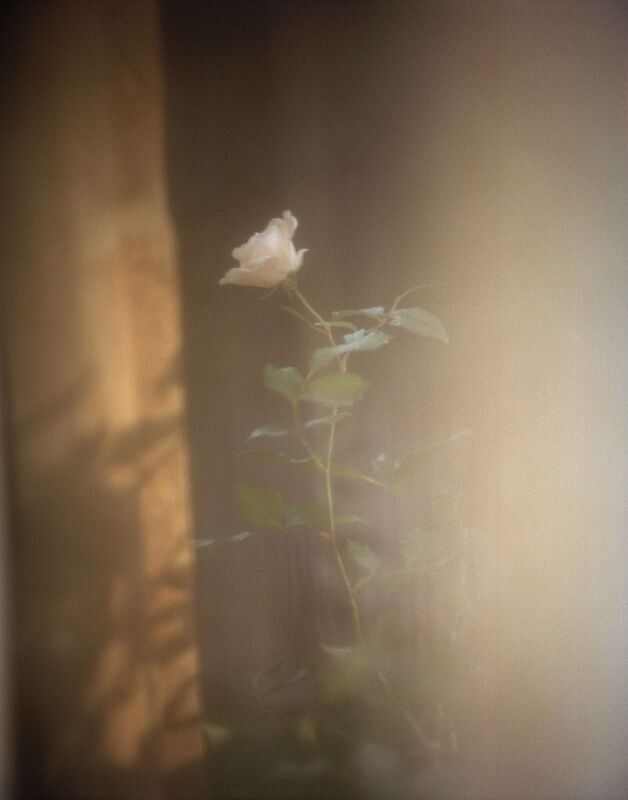 Drawing Room, The Modern House