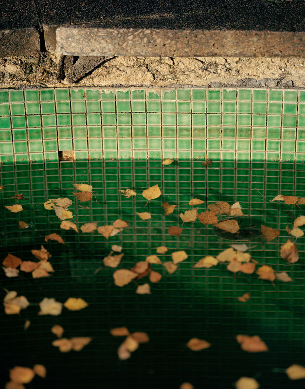 Drawing Room, The Modern House