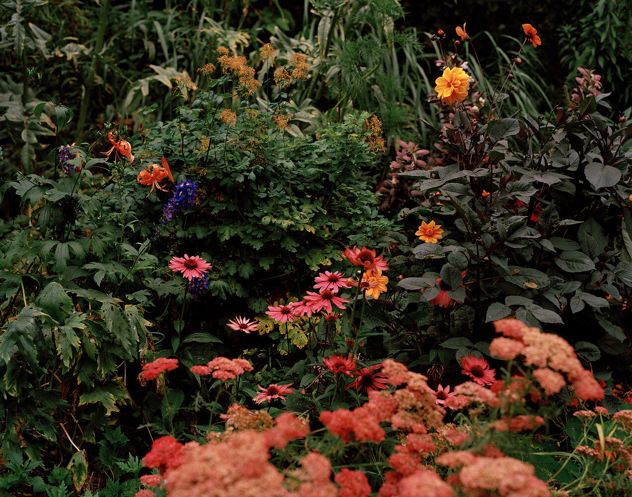 Drawing Room, The Modern House