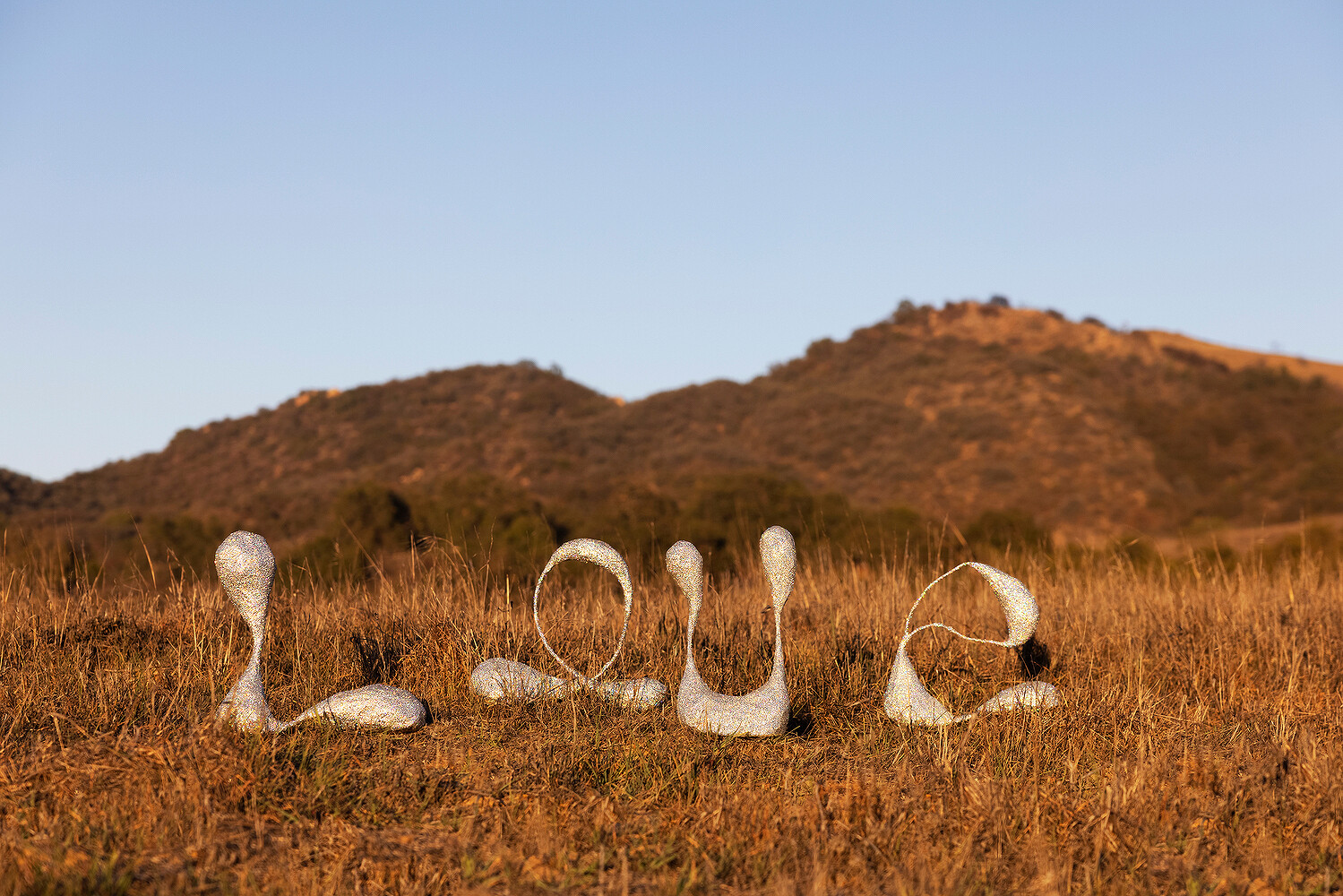 Domenica Agostino Leibowitz