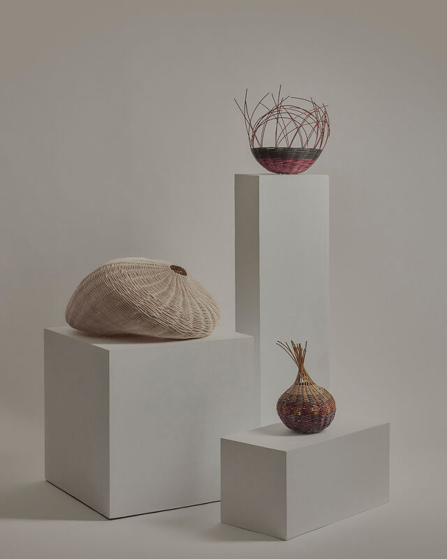 Domenica Agostino Leibowitz