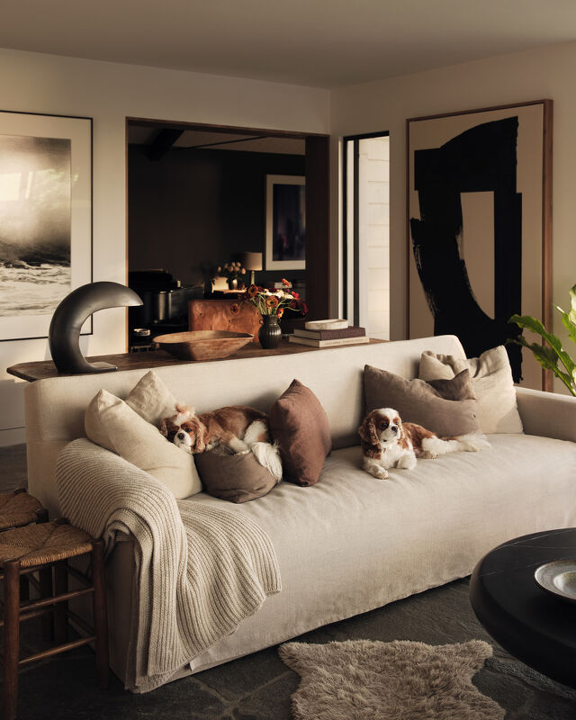 Courteney Cox, Financial Times