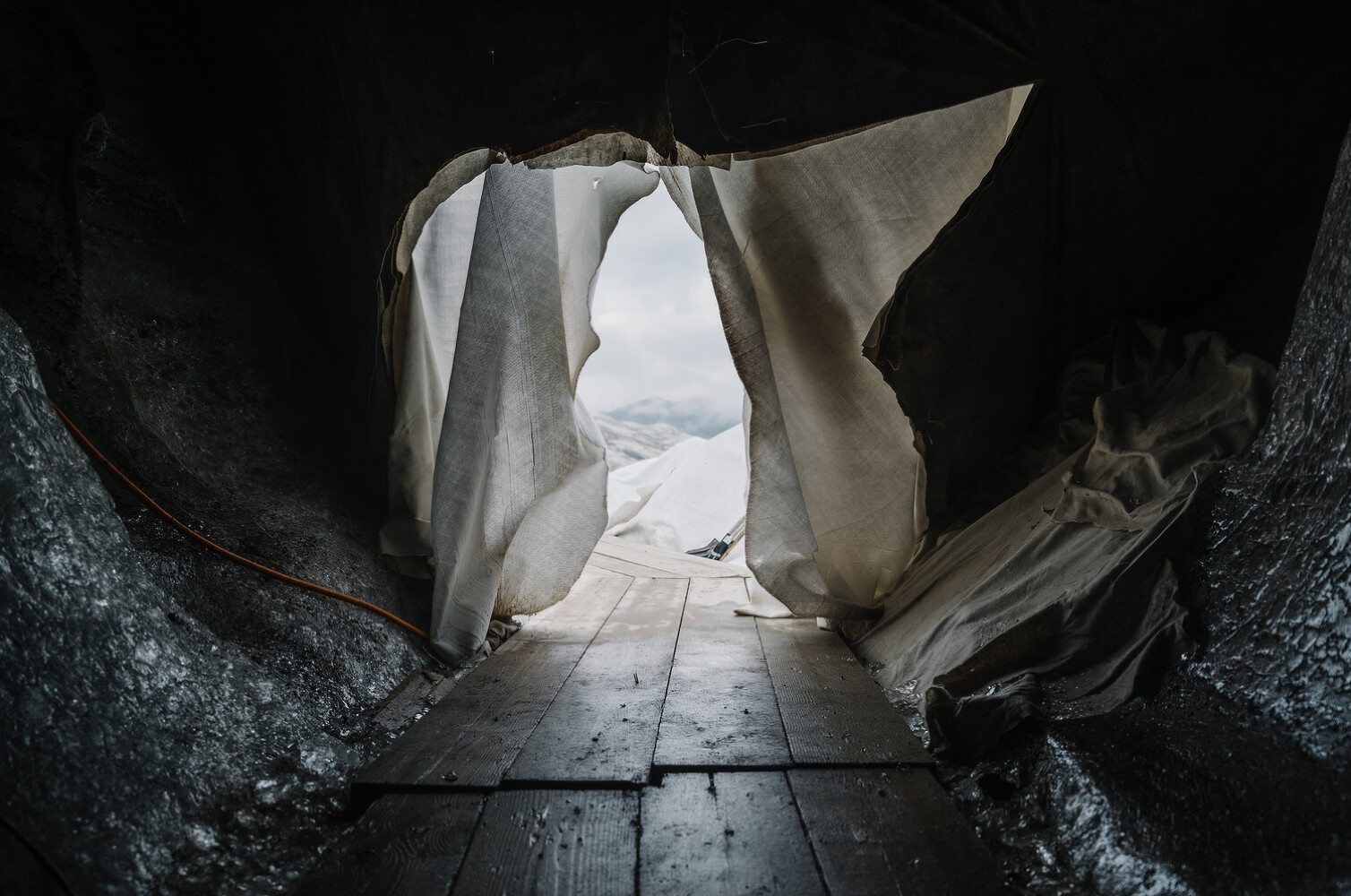  National Geographic, “Saving Glaciers”