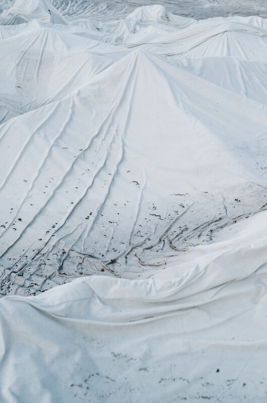  National Geographic, “Saving Glaciers”