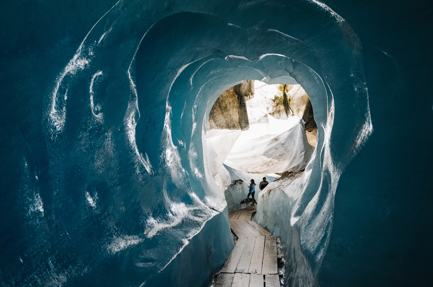  National Geographic, “Saving Glaciers”