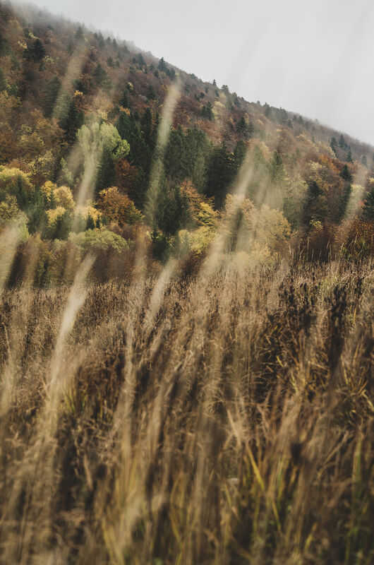 Photographs by Ciril Jazbec