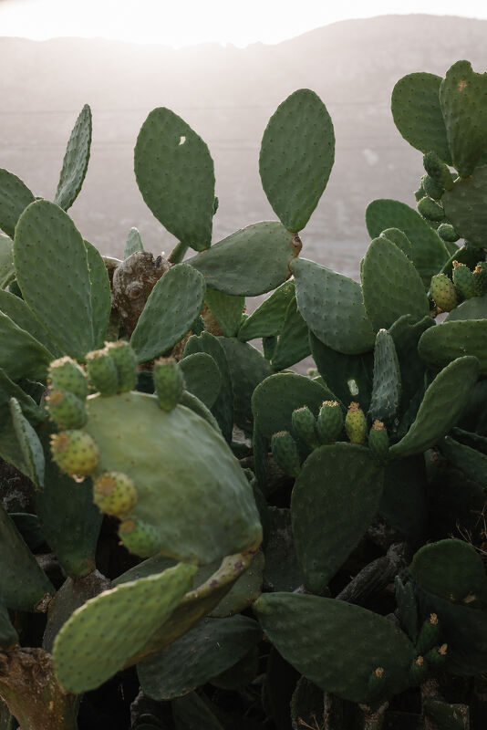 National Geographic, “Karpathos”