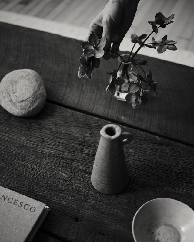 Zara Home, Colin King 