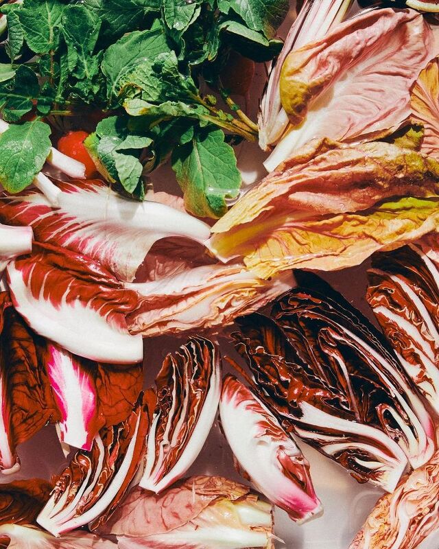 Molly Baz x Crate & Barrel