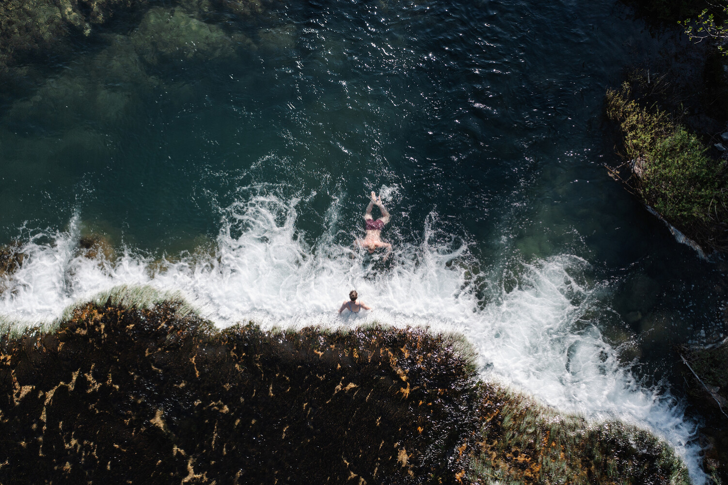 The Nature Conservancy