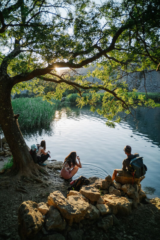 The Nature Conservancy