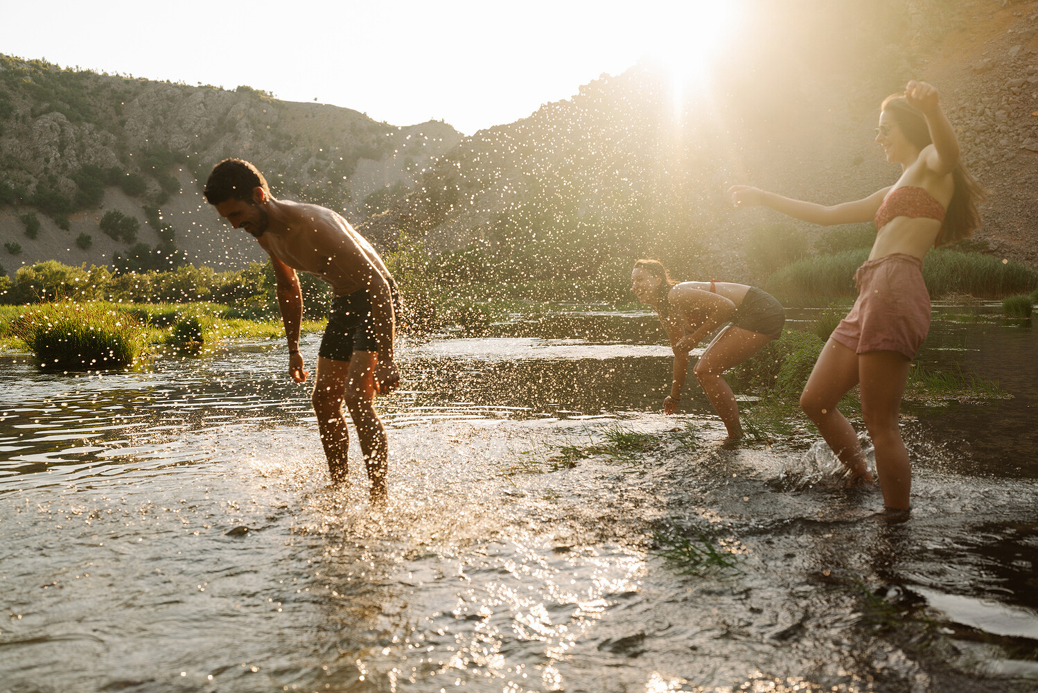 The Nature Conservancy