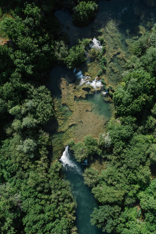 The Nature Conservancy