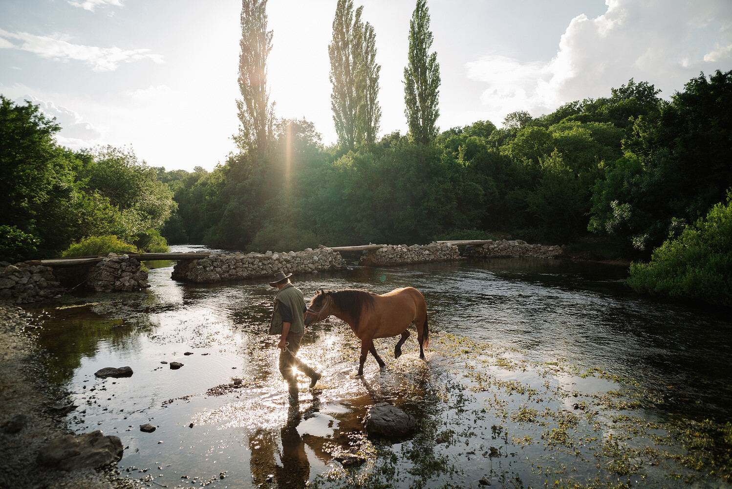 The Nature Conservancy