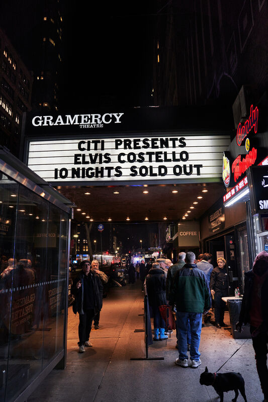 Elvis Costello, Esquire