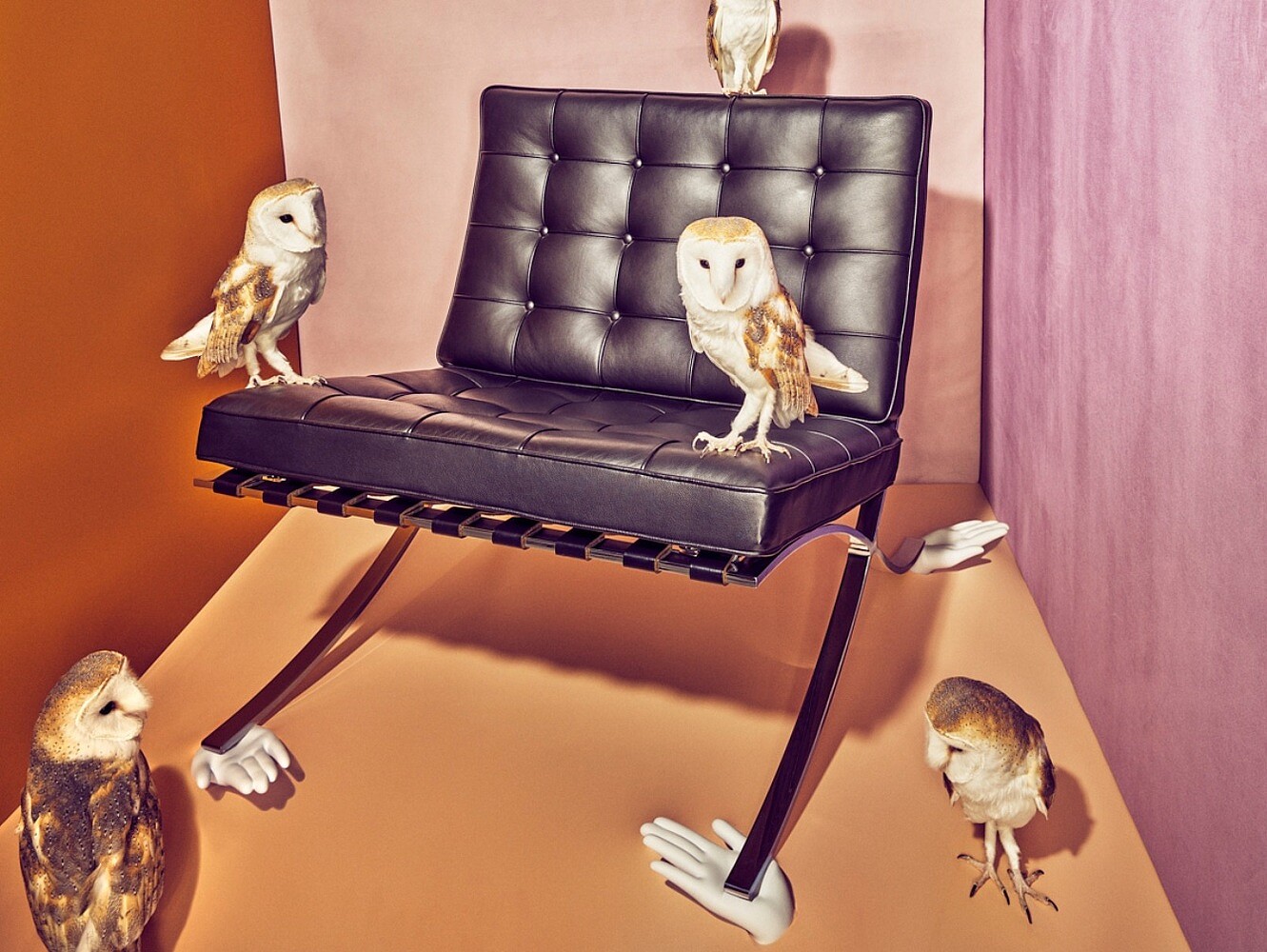 The Wall Street Journal