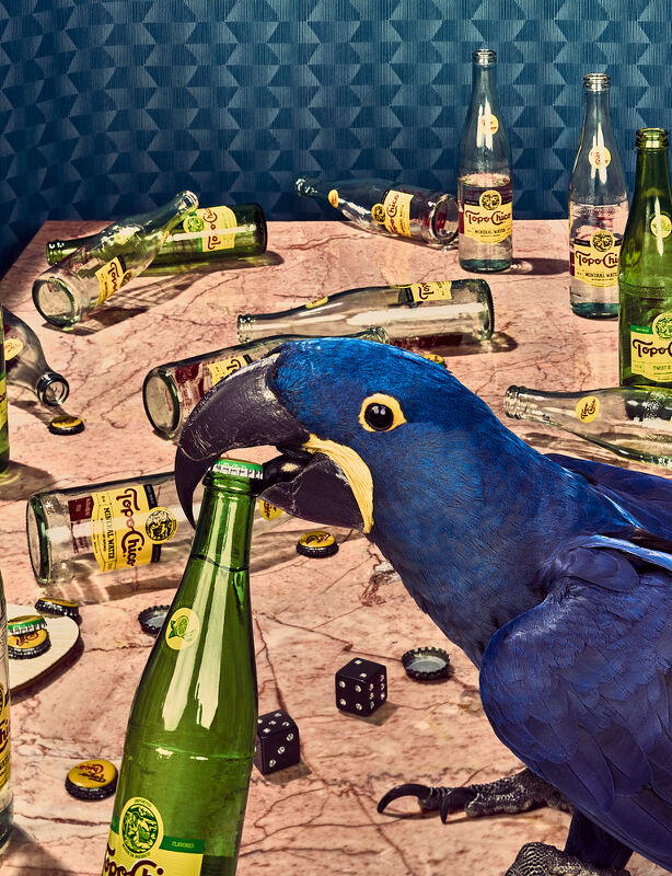 The Wall Street Journal