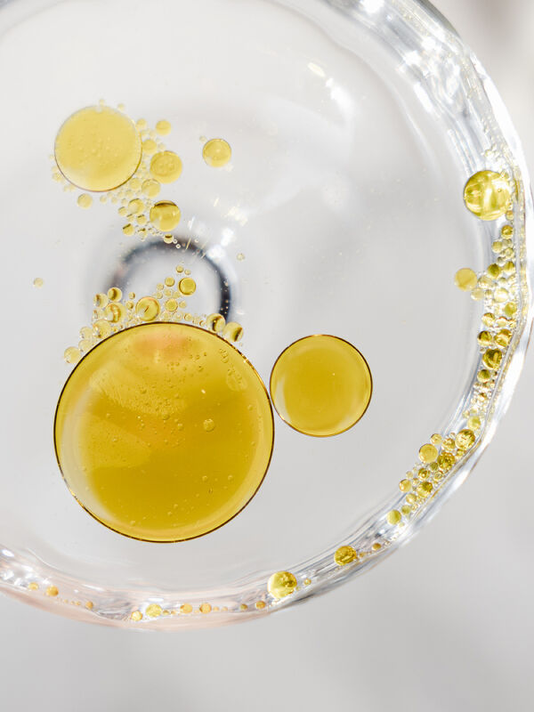 Westbourne x Casa Velasquez