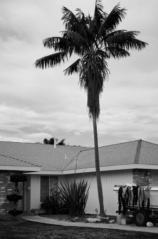 The Rolling Ruotolos