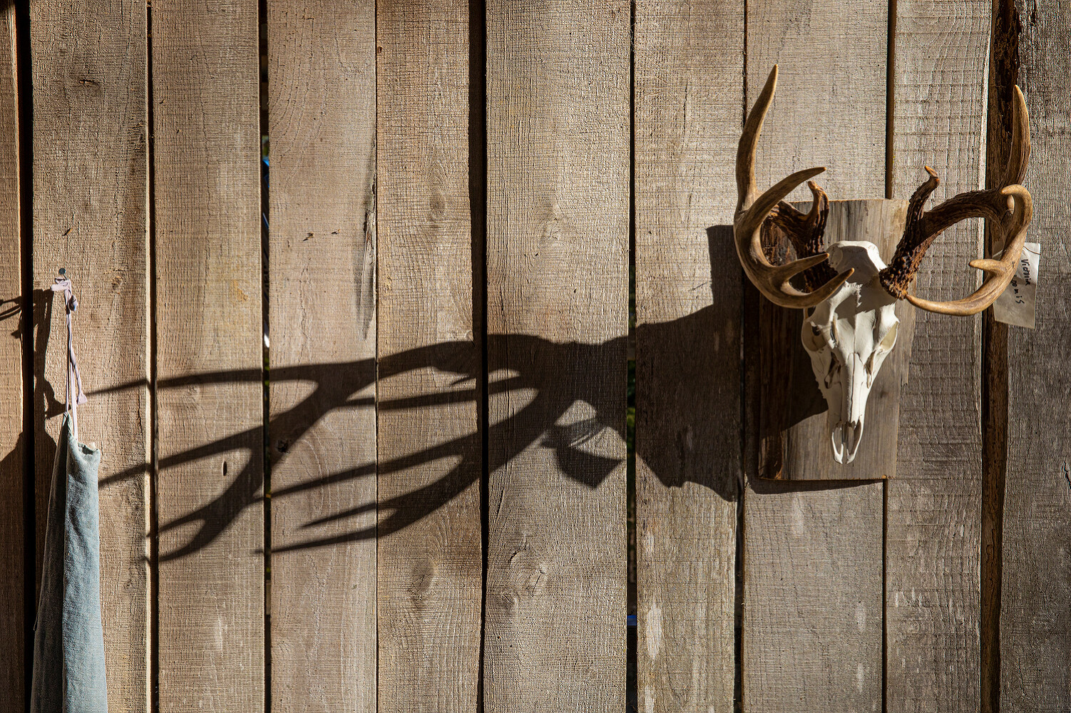 “True to Nature”