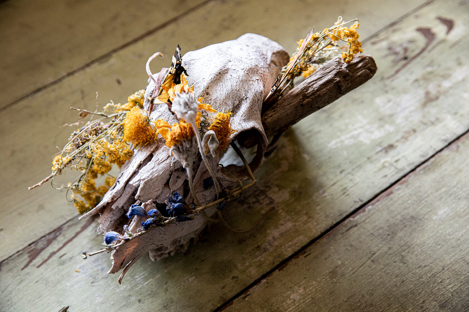 “True to Nature”