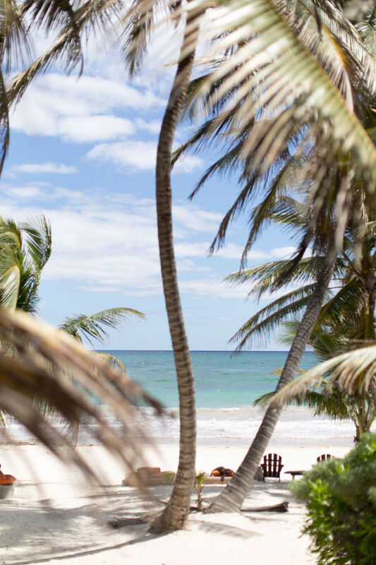 Hennessy Angel’s Envy 