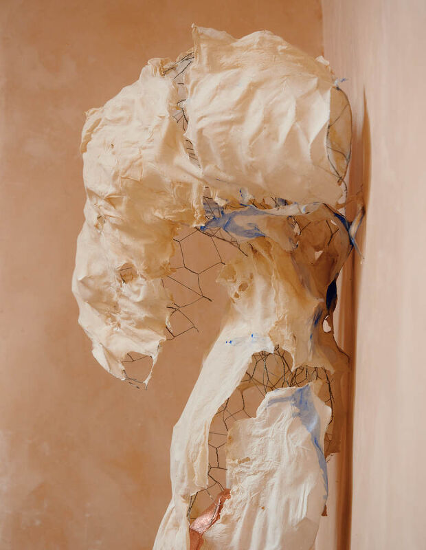 Lynda Benglis, Plus Magazine