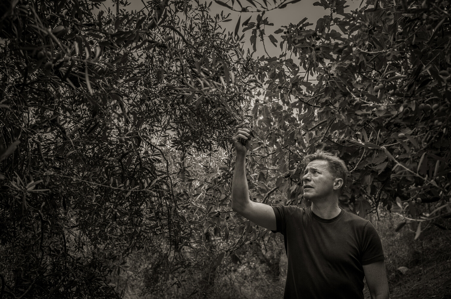 Mayor of Civitacampomarano